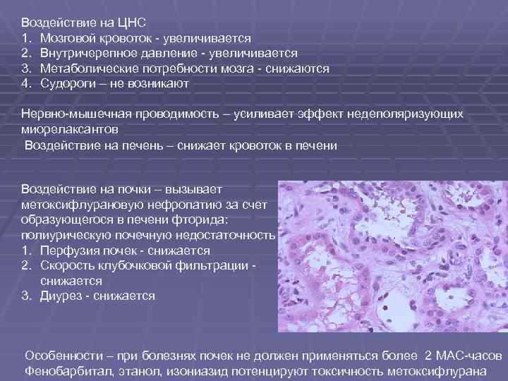 Воздействие на ЦНС 1. Мозговой кровоток - увеличивается 2. Внутричерепное давление - увеличивается 3.