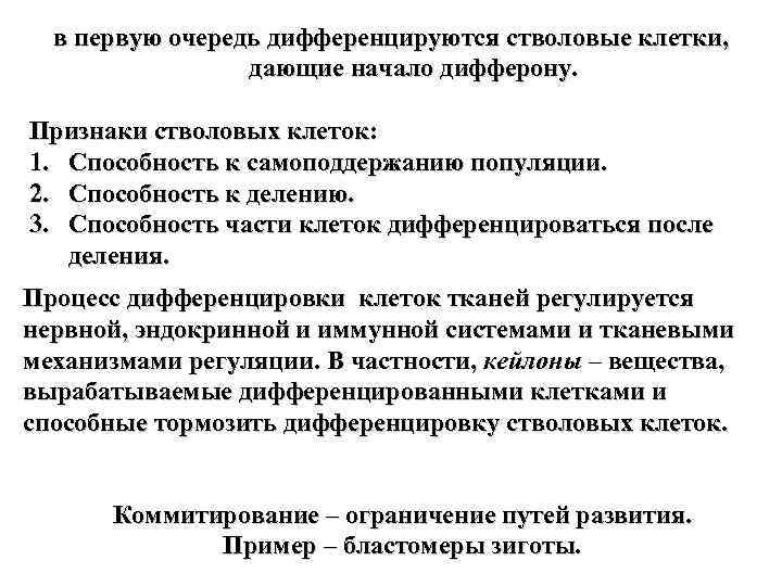 в первую очередь дифференцируются стволовые клетки, дающие начало дифферону. Признаки стволовых клеток: 1. Способность