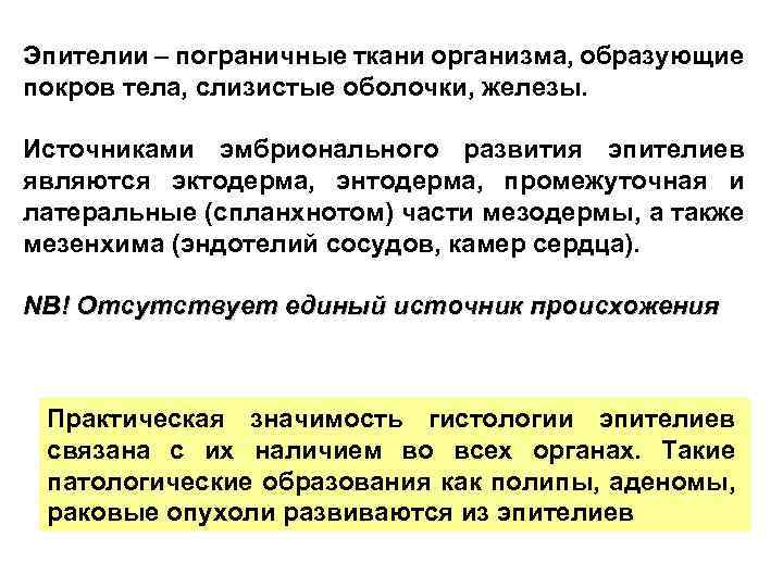 Эпителии – пограничные ткани организма, образующие покров тела, слизистые оболочки, железы. Источниками эмбрионального развития