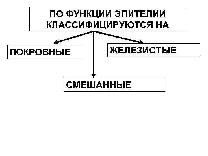 ПО ФУНКЦИИ ЭПИТЕЛИИ КЛАССИФИЦИРУЮТСЯ НА ПОКРОВНЫЕ ЖЕЛЕЗИСТЫЕ СМЕШАННЫЕ 