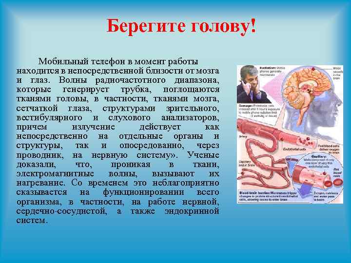 Берегите голову! Мобильный телефон в момент работы находится в непосредственной близости от мозга и