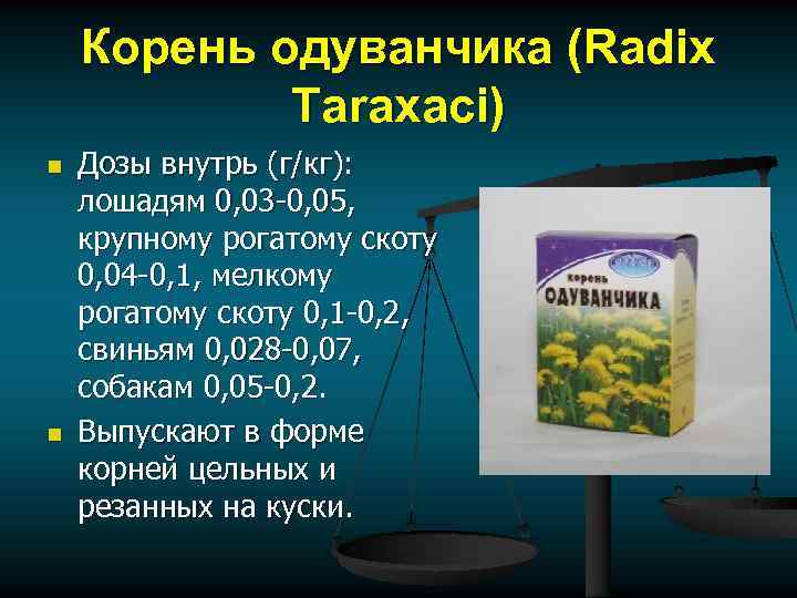 Корень одуванчика (Radix Taraxаci) n n Дозы внутрь (г/кг): лошадям 0, 03 -0, 05,