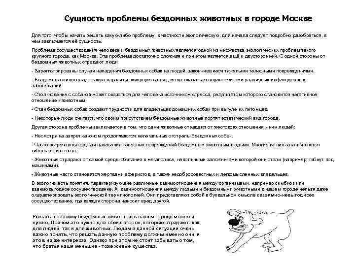 Сущность проблемы бездомных животных в городе Москве Для того, чтобы начать решать какую-либо проблему,