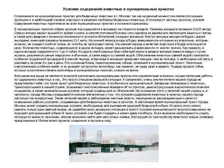 Условия содержания животных в муниципальных приютах Остановимся на муниципальных приютах для бездомных животных в