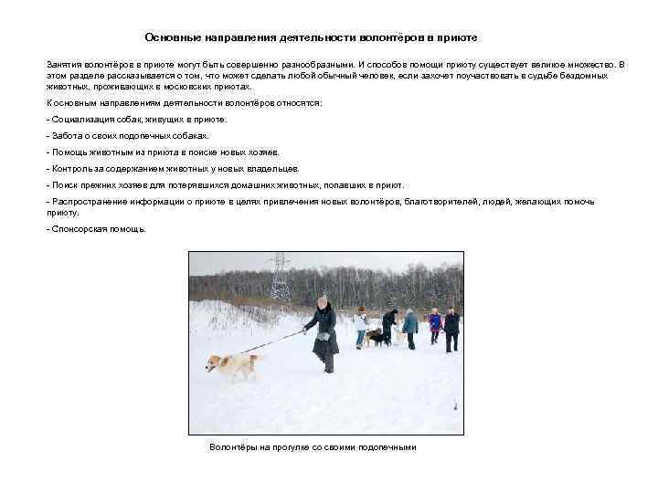 Основные направления деятельности волонтёров в приюте Занятия волонтёров в приюте могут быть совершенно разнообразными.