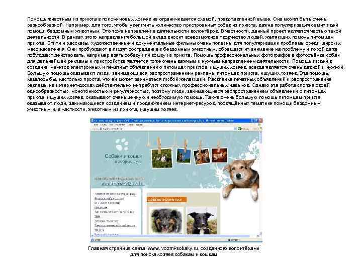 Помощь животным из приюта в поиске новых хозяев не ограничивается схемой, представленной выше. Она