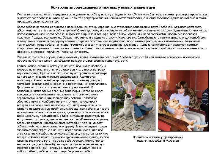 Контроль за содержанием животных у новых владельцев После того, как волонтёр передал свою подопечную