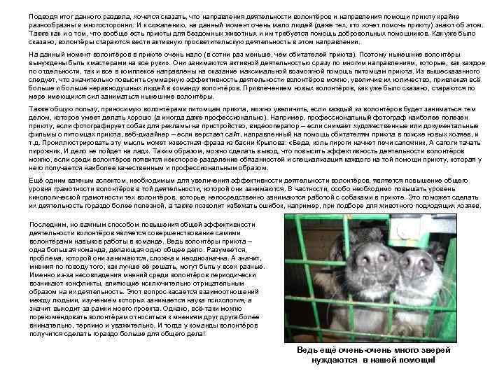 Подводя итог данного раздела, хочется сказать, что направления деятельности волонтёров и направления помощи приюту