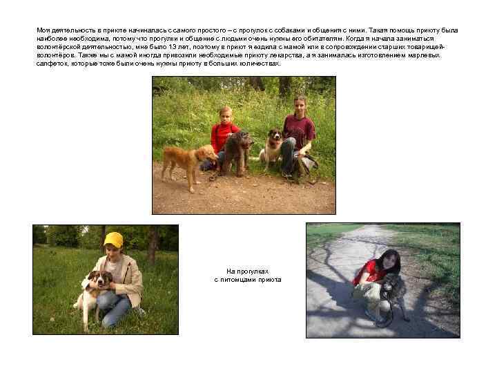 Моя деятельность в приюте начиналась с самого простого – с прогулок с собаками и