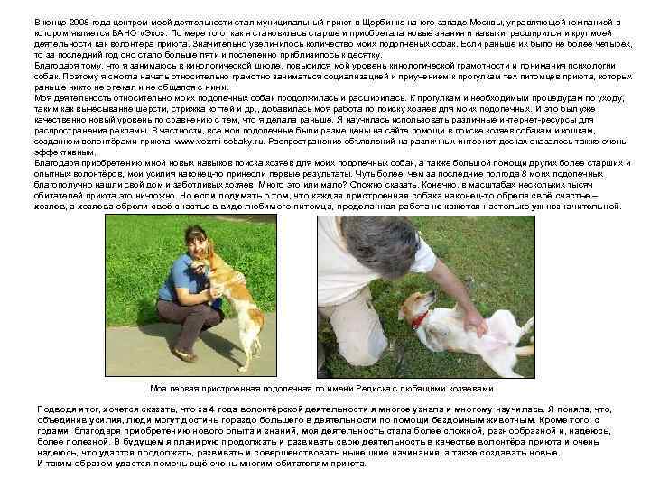 В конце 2008 года центром моей деятельности стал муниципальный приют в Щербинке на юго-западе