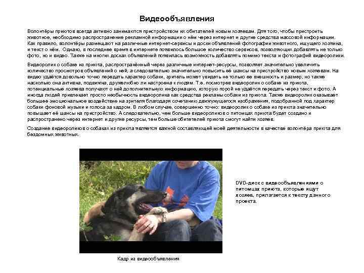 Видеообъявления Волонтёры приютов всегда активно занимаются пристройством их обитателей новым хозяевам. Для того, чтобы