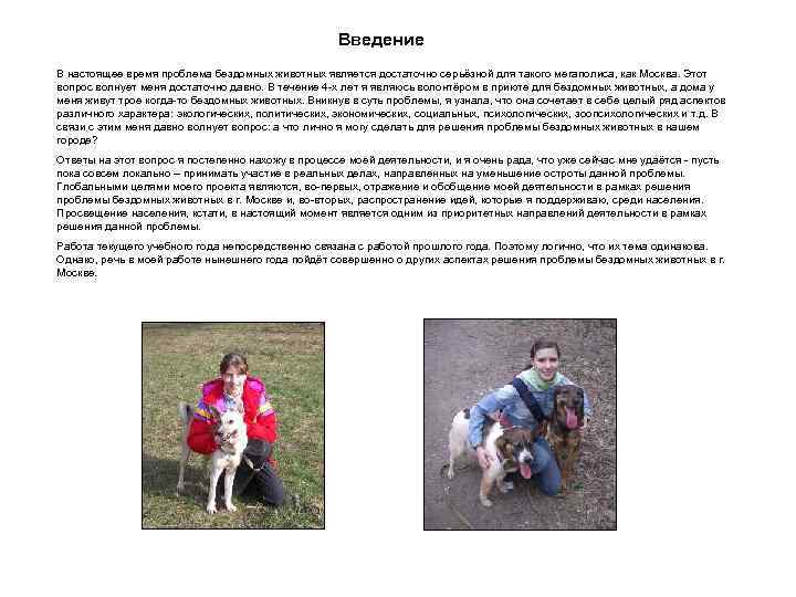 Введение В настоящее время проблема бездомных животных является достаточно серьёзной для такого мегаполиса, как