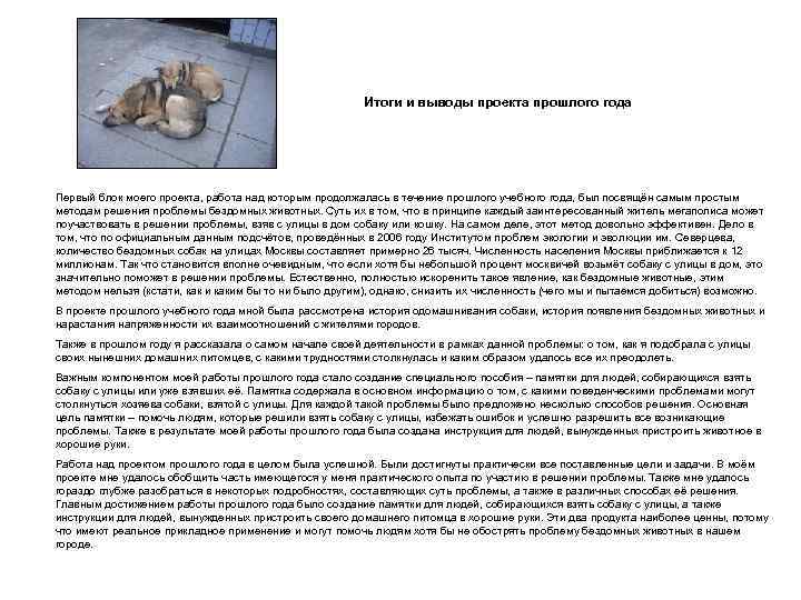 Итоги и выводы проекта прошлого года Первый блок моего проекта, работа над которым продолжалась