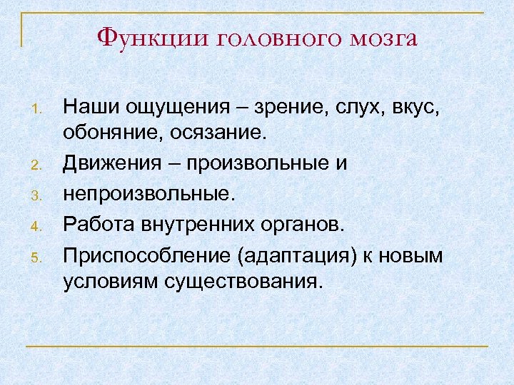 Функции головного мозга 1. 2. 3. 4. 5. Наши ощущения – зрение, слух, вкус,