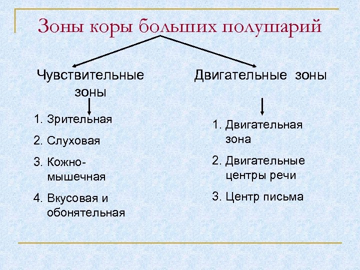 Зоны коры больших полушарий Чувствительные зоны 1. Зрительная Двигательные зоны 2. Слуховая 1. Двигательная