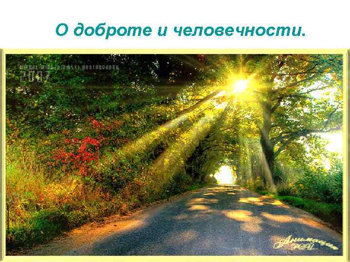 О доброте и человечности. 