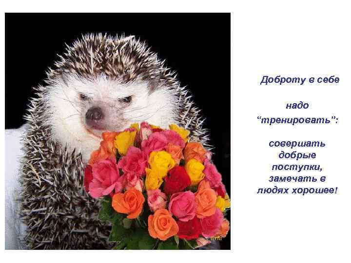 Доброту в себе надо “тренировать”: совершать добрые поступки, замечать в людях хорошее! 