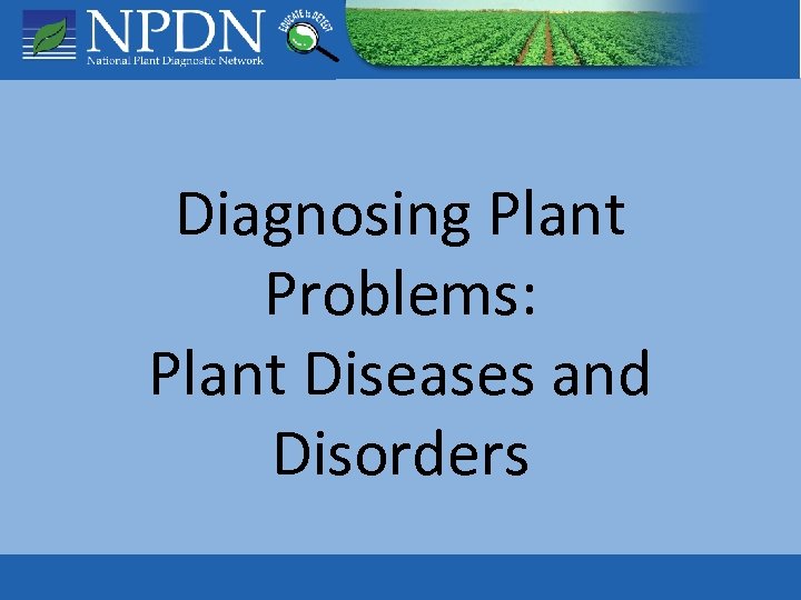 Diagnosing Plant Problems: Plant Diseases and Disorders 