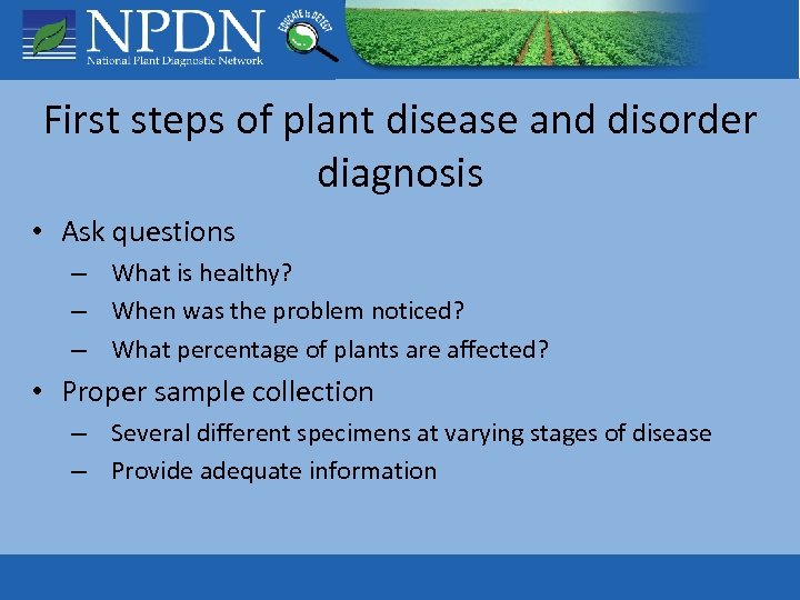 First steps of plant disease and disorder diagnosis • Ask questions – What is