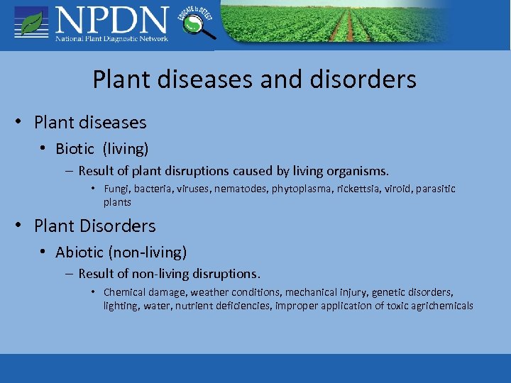 Plant diseases and disorders • Plant diseases • Biotic (living) – Result of plant