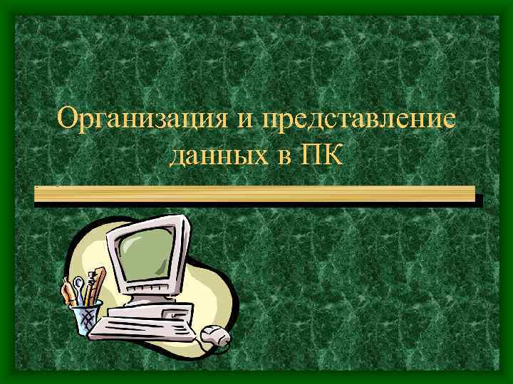 Организация и представление данных в ПК 