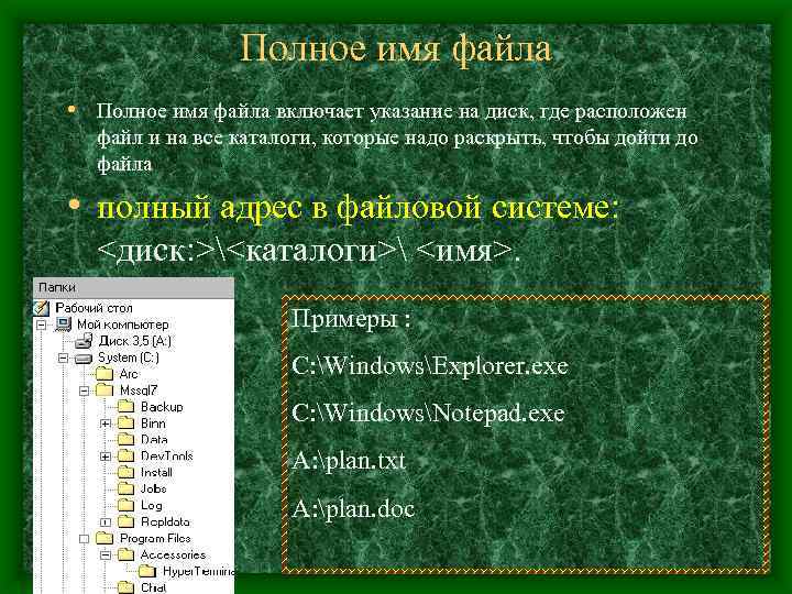 Полное имя файла • Полное имя файла включает указание на диск, где расположен файл