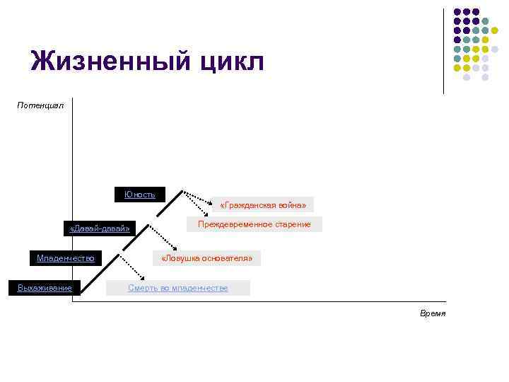 Жизненный цикл Потенциал Юность «Гражданская война» «Давай-давай» Младенчество Выхаживание Преждевременное старение «Ловушка основателя» Смерть