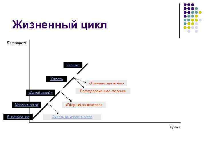 Жизненный цикл Потенциал Расцвет Юность «Гражданская война» «Давай-давай» Младенчество Выхаживание Преждевременное старение «Ловушка основателя»