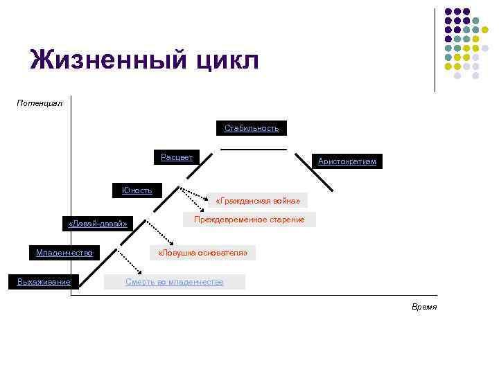 Жизненный цикл Потенциал Стабильность Расцвет Аристократизм Юность «Гражданская война» «Давай-давай» Младенчество Выхаживание Преждевременное старение