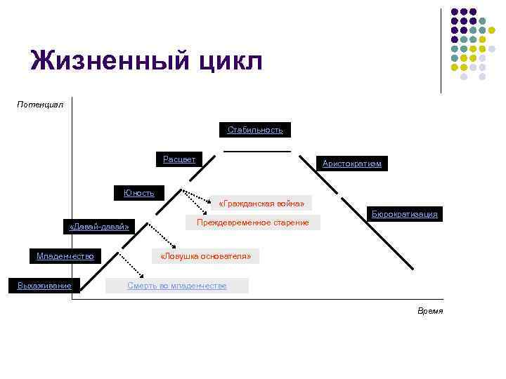 Жизненный цикл Потенциал Стабильность Расцвет Аристократизм Юность «Гражданская война» «Давай-давай» Младенчество Выхаживание Преждевременное старение