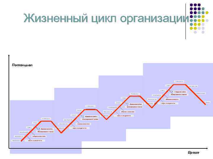 Жизненный цикл организации Потенциал Время 