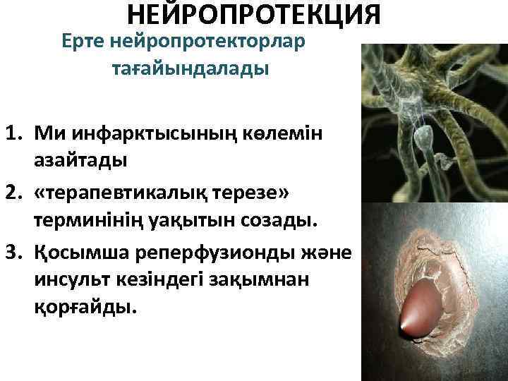 НЕЙРОПРОТЕКЦИЯ Ерте нейропротекторлар тағайындалады 1. Ми инфарктысының көлемін азайтады 2. «терапевтикалық терезе» терминінің уақытын