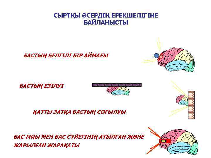СЫРТҚЫ ӘСЕРДІҢ ЕРЕКШЕЛІГІНЕ БАЙЛАНЫСТЫ БАСТЫҢ БЕЛГІЛІ БІР АЙМАҒЫ БАСТЫҢ ЕЗІЛУІ ҚАТТЫ ЗАТҚА БАСТЫҢ СОҒЫЛУЫ