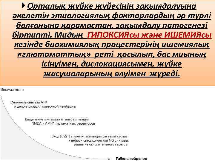  Орталық жүйке жүйесінің зақымдалуына әкелетін этиологиялық факторлардың әр түрлі болғанына қарамастан, зақымдалу патогенезі
