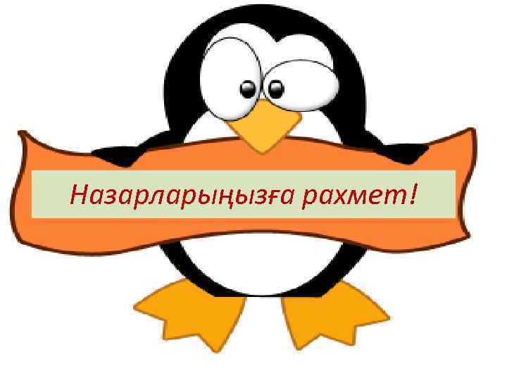 Назарларыңызға рахмет! 