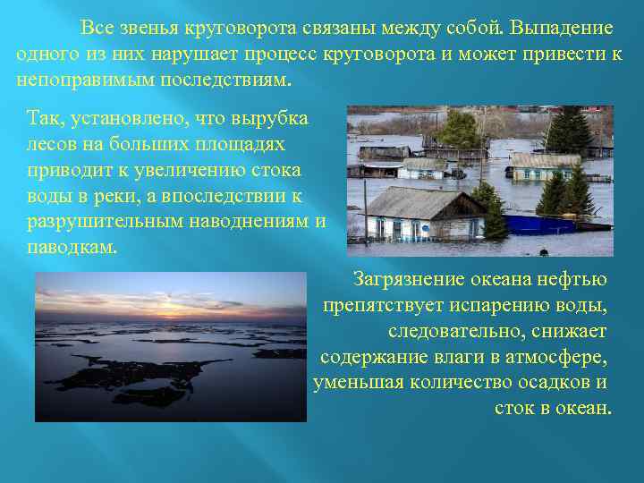 Все звенья круговорота связаны между собой. Выпадение одного из них нарушает процесс круговорота и