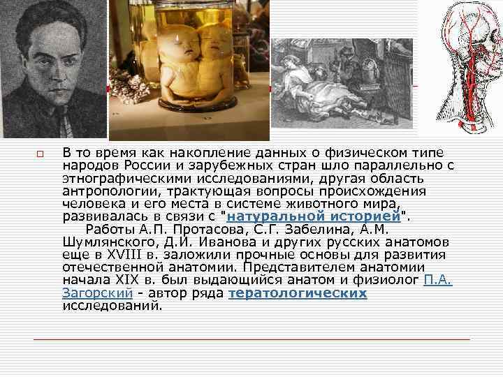 o В то время как накопление данных о физическом типе народов России и зарубежных