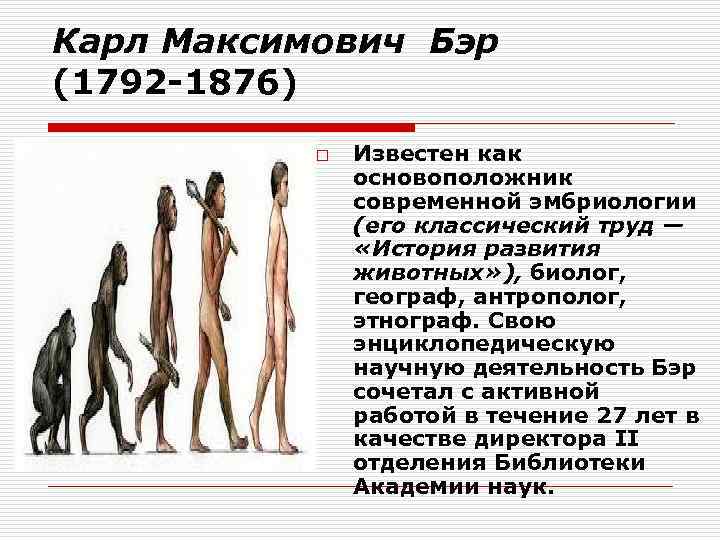 Карл Максимович Бэр (1792 -1876) o Известен как основоположник современной эмбриологии (его классический труд