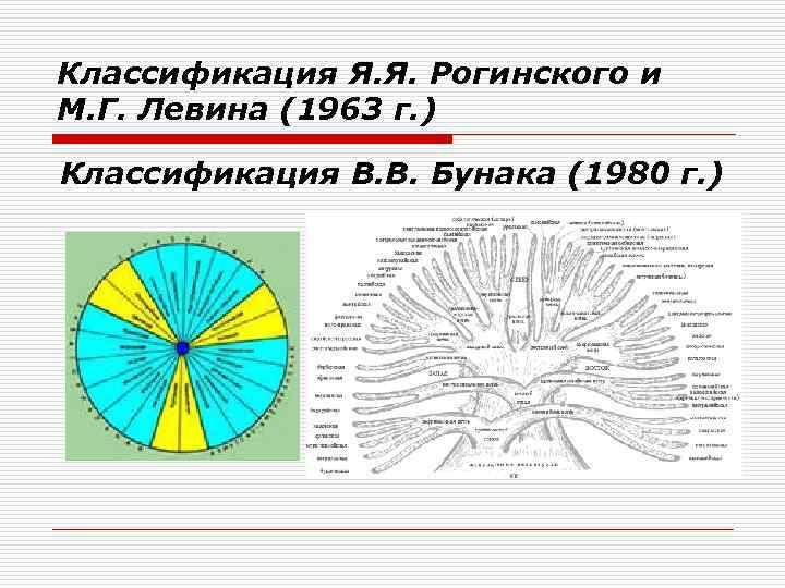 Классификация Я. Я. Рогинского и М. Г. Левина (1963 г. ) Классификация В. В.