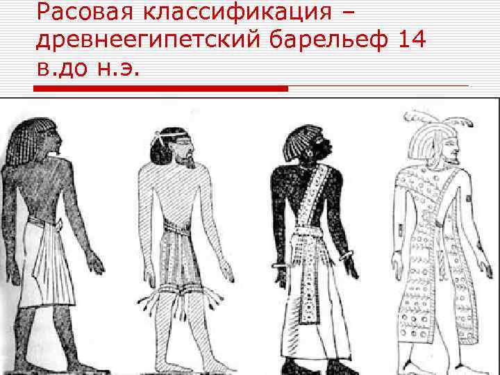 Расовая классификация – древнеегипетский барельеф 14 в. до н. э. 