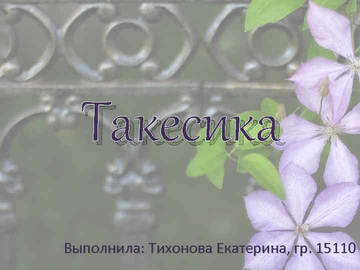 Такесика Выполнила: Тихонова Екатерина, гр. 15110 