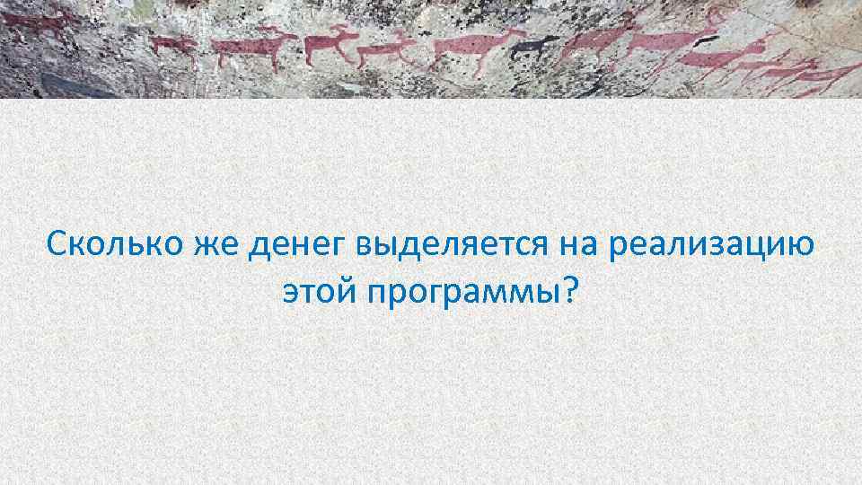 Сколько же денег выделяется на реализацию этой программы? 