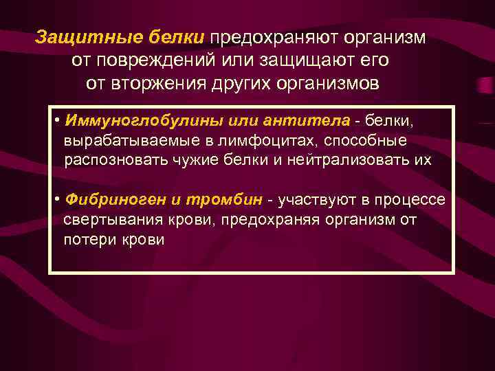 Защитные белки предохраняют организм от повреждений или защищают его от вторжения других организмов •