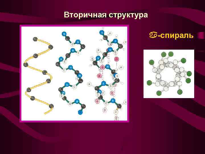 Вторичная структура -спираль 