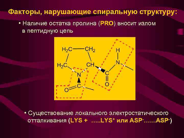 Пептидная цепь. Факторы нарушающие спиральную структуру белков. Структура белка факторы. Пролин в структуре белка. Пептидная структура спираль.