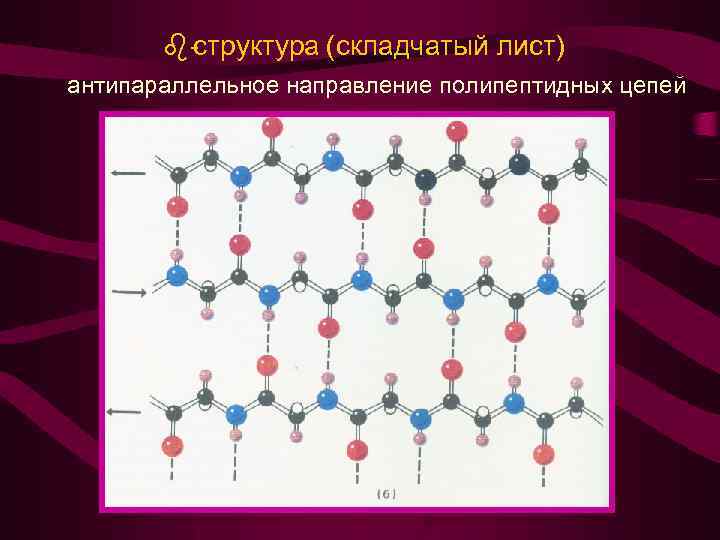 Структура листа фото