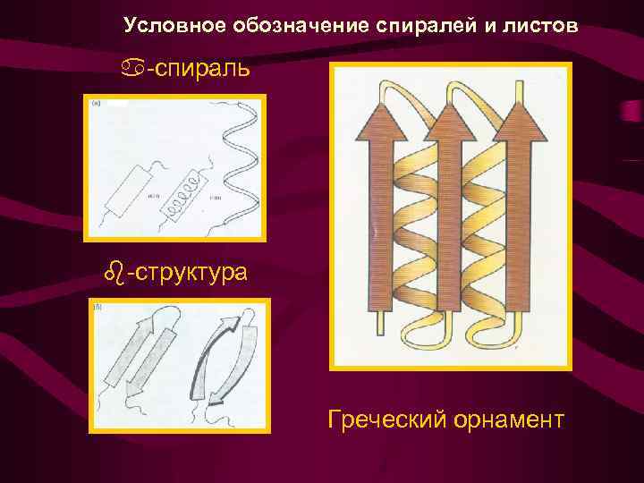 Условное обозначение спиралей и листов -спираль -структура Греческий орнамент 