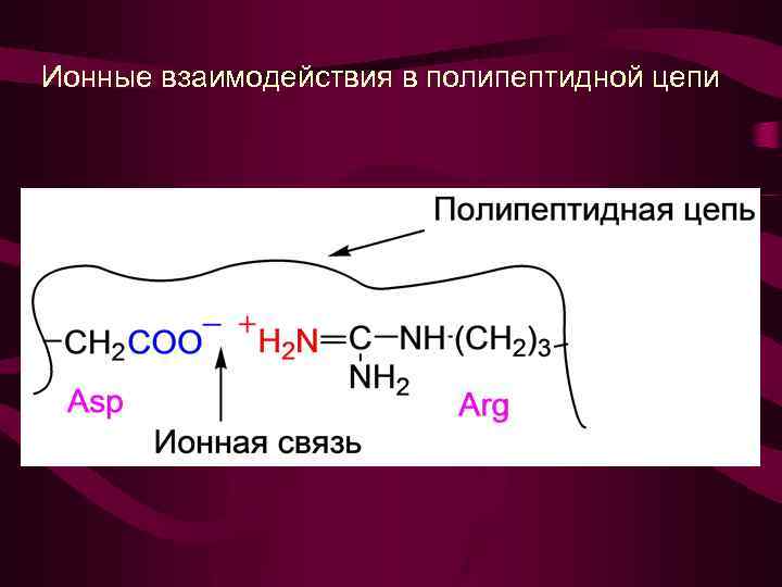 Ионные взаимодействия в полипептидной цепи 