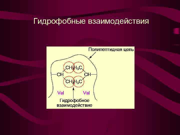 Гидрофобные взаимодействия 