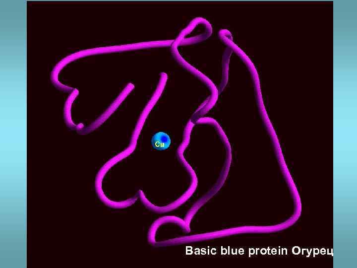 Basic blue protein Огурец 